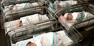 Età media in salita, diminuiscono le nascite: la popolazione invecchia