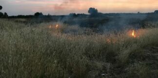 Incendio in contrada Cariati di Sopra