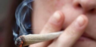 Studenti: il 17% usa cannabis, il 57,8% beve alcolici