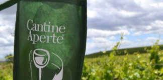 E’ il giorno di Cantine Aperte: 14 le aziende pugliesi per la Vendemmia