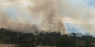 Vasto incendio in contrada Stricchio