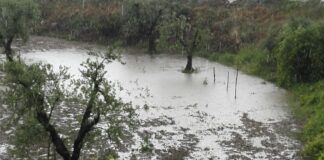 Allerta meteo, torna l’inverno sui cieli della Puglia