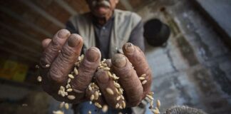 Puglia tra regioni più attrattive d’Italia
