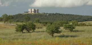 Parte da Castel del Monte il “P.A.T. Psi Puglia” contro la marginalizzazione sociale
