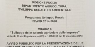 PSR 2014 – 2020, sostegno al primo insediamento dei giovani