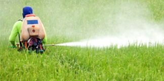 Glifosate: da oggi scatta il divieto