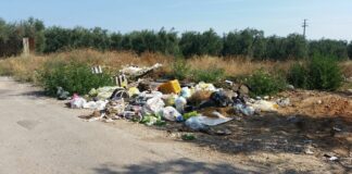 “Clean up day” per la riduzione rifiuti: l’iniziativa Forum Città di Giovani