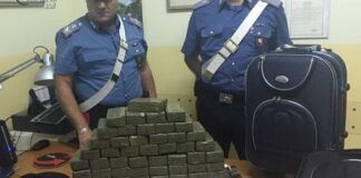 Scacco al narcotraffico nella Bat: sequestrati 23 chili di hashish a Minervino