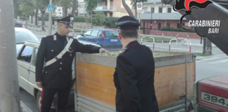 Sgominata una banda di ladri di olive, in 7 finiscono ai domiciliari