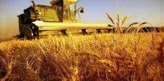 Coldiretti: agricoltura motore della ripresa