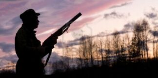 Caldo: Wwf, fauna selvatica vulnerabile, stop alla caccia