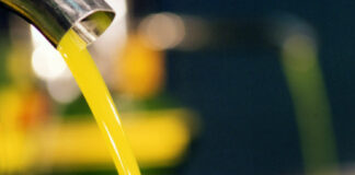 Olio, produzione in calo nei frantoi pugliesi: -30% con 145 milioni di kg