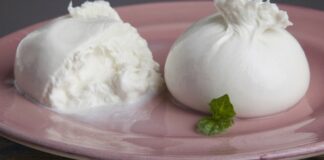 Consorzio Burrata Igp, Flai Cgil Bat: «Un grande risultato»