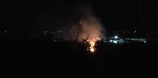 Incendio di sterpaglie nei pressi della Sp 231
