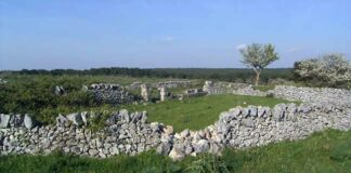L’Unesco dichiara i muretti a secco patrimonio dell’Umanità