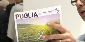 Gaffe a ProWein e Vinitaly: i vitigni pugliesi sono cileni