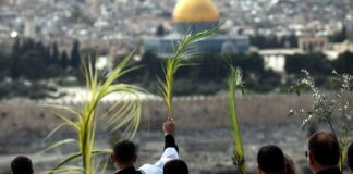 Domenica delle Palme: ecco l’elenco delle celebrazioni del 9 aprile