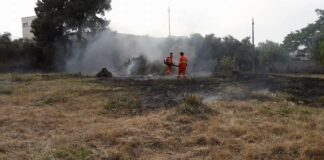 Incendio in contrada Borduito: intervento delle Guardie Federiciane