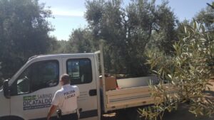 autocarro rubato recuperato dalla polizia locale