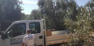 Autocarri rubati recuperati in Contrada Torriciola dalla Polizia Locale