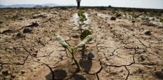 Acqua: reti colabrodo in Puglia, Coldiretti: «57% del territorio a rischio desertificazione»