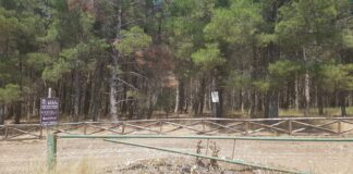 Bosco Finizio e Pineta di Castel del Monte: gara per l’affidamento in concessione della gestione