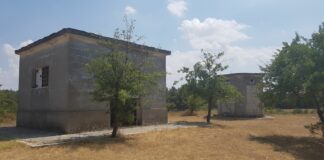 Bosco di Finizio e pineta di Castel del Monte: due beni comunali da tutelare e valorizzare