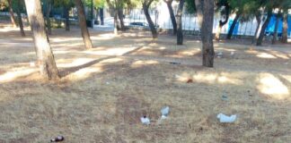 Degrado e sporcizia, c’era una volta la palestra verde della Pineta Comunale
