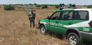 Premi a Carabinieri Forestali in soccorso delle popolazioni terremotate del centro Italia
