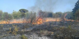 Incendio in contrada Lama di Carro