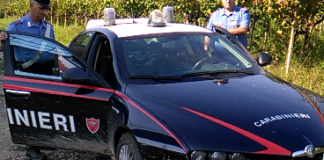 Troppa uva in una piccola utilitaria: arrestato un 55enne