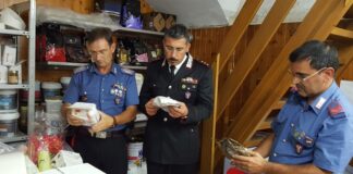 “Ice (S)cream”: controllate 6 gelaterie andriesi, 2 sono risultate irregolari