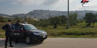 Controlli dei Carabinieri di Andria a Minervino Murge: un arresto e una denuncia