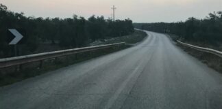 Auto si ribalta sulla “Andria-Bisceglie”: 29enne illeso