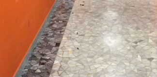 Blatte in un corridoio secondario dell’Ospedale “Bonomo”