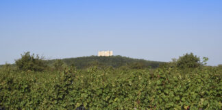 Antenna di telefonia vicino a Castel del Monte, sì del Tar al progetto