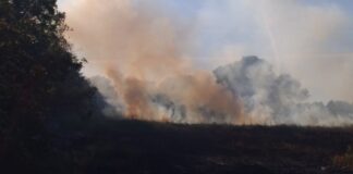 Tre ettari in fiamme ai piedi di Castel del Monte