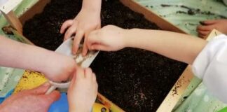 Progetto “Compostiamoci bene” all’Istituto Comprensivo “Don Bosco-Manzoni”