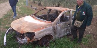 Scocca d’auto rinvenuta dalle Guardie Federiciane, recuperata la targa