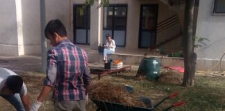 Torna il progetto “Stiamo al Verde 2.0” al Circolo Rosmini di Andria