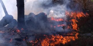 Operativa l’ordinanza sindacale sullo stato di pericolosità per gli incendi boschivi