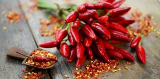 Fiera del peperoncino al Chiostro di San Francesco l’8 e il 9 settembre
