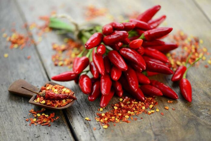 fiera peperoncino