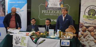 Una “camminata” domenicale per celebrare la festa dell’ulivo