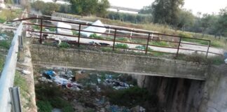 Canale Ciappetta-Camaggio, PD: «Servono interventi straordinari di pulizia e bonifica»