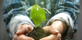 “La mia scuola è differente”, il 12 giugno la premiazione del progetto di educazione ambientale