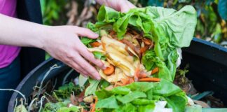 Giornata dell’Alimentazione, in Puglia 310 mila tonnellate di cibo finiscono nella spazzatura