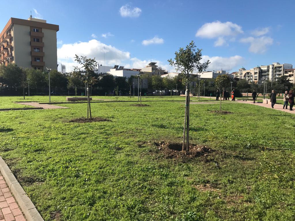 10mila euro dalla Regione per nuove alberature: finanziato il progetto