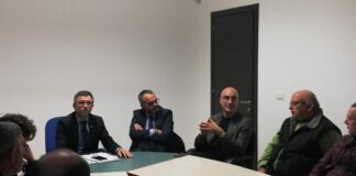 Crisi comparto olivicolo, Matera: «Meritiamo risposte, i parlamentari del territori si impegnino»