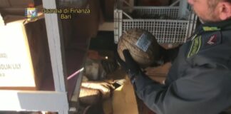Sequestrata oltre mezza tonnellata di fuochi d’artificio dalla Guardia di Finanza